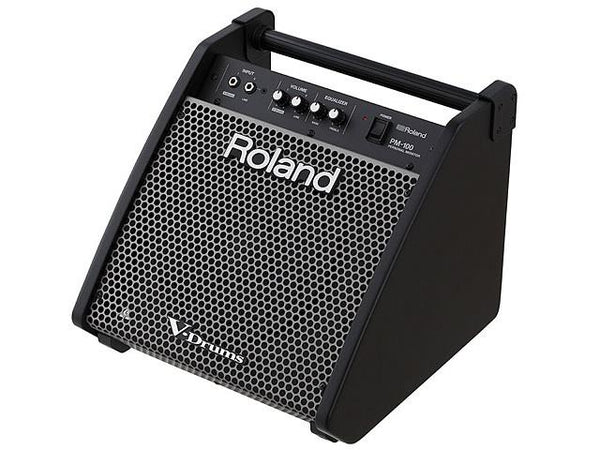 Roland PM-100 Personal Monitor Amp